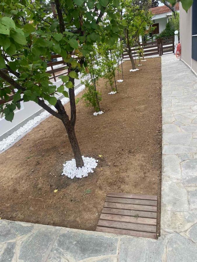 R Lux Villa Nea Kallikrateia Dış mekan fotoğraf